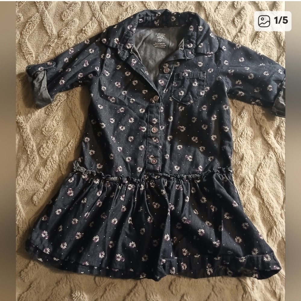 Bundle 6 Outfits 2-4 T/Year Girls Dresses And One Pants Outfit. Mostly 3T/Year - Picture 5 of 13
